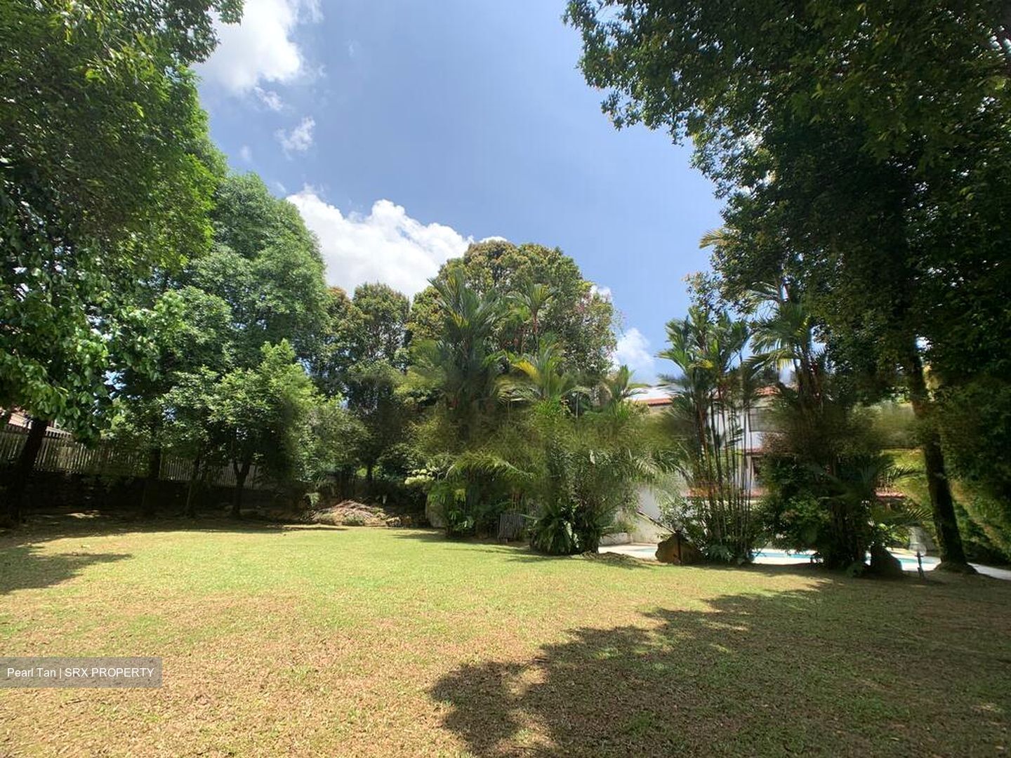 King Albert Park (D21), Detached #460719261